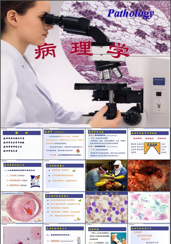 病理学绪论PPT模板