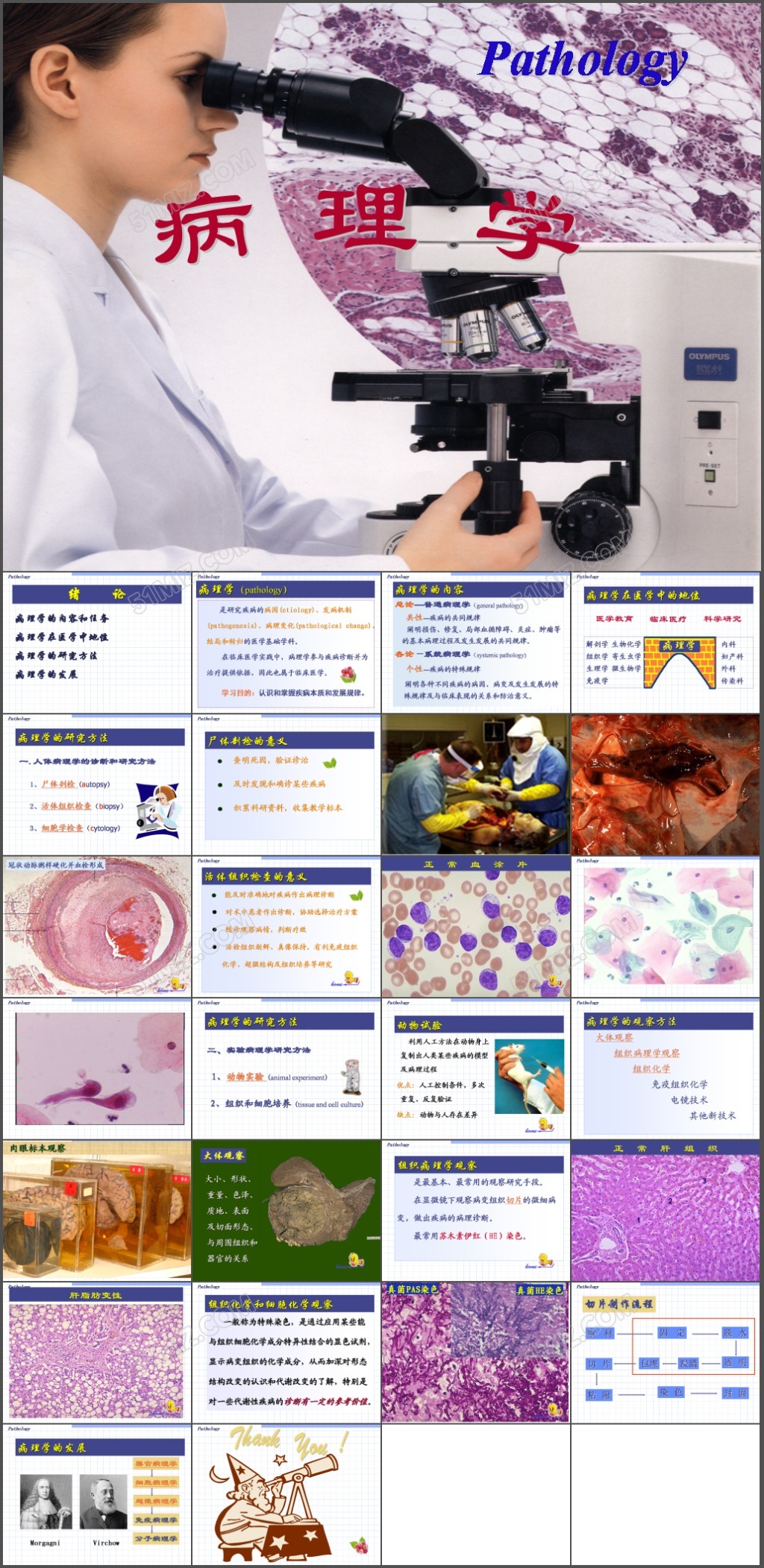 病理学绪论PPT模板
