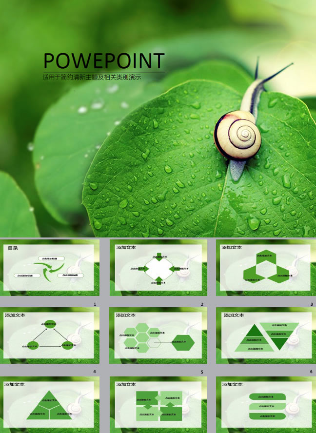 蜗牛与绿叶环境工作汇报ppt模板