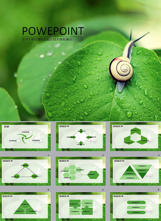 蜗牛与绿叶环境工作汇报ppt模板