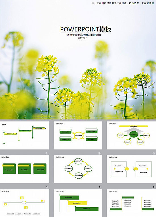 油菜花景点ppt模板