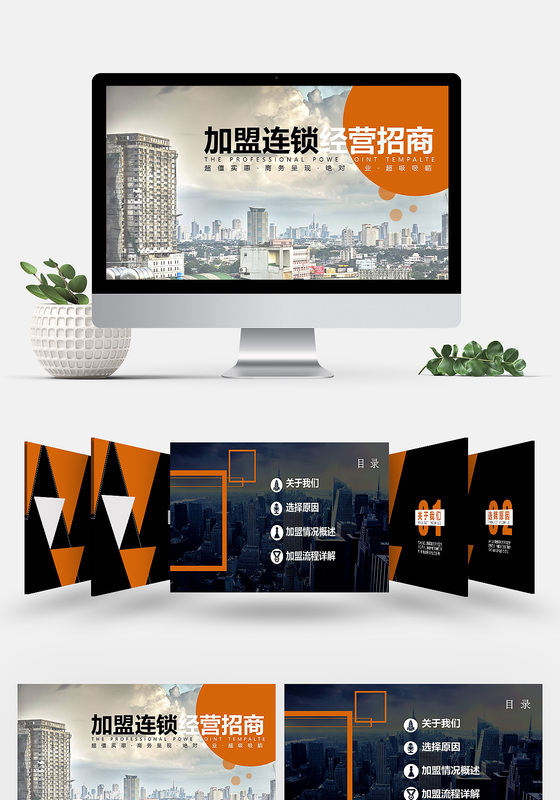 项目介绍加盟连锁经营招商方案ppt模板