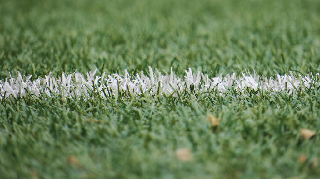 绿色领域清新操场草坪草地白线剪影背景图片