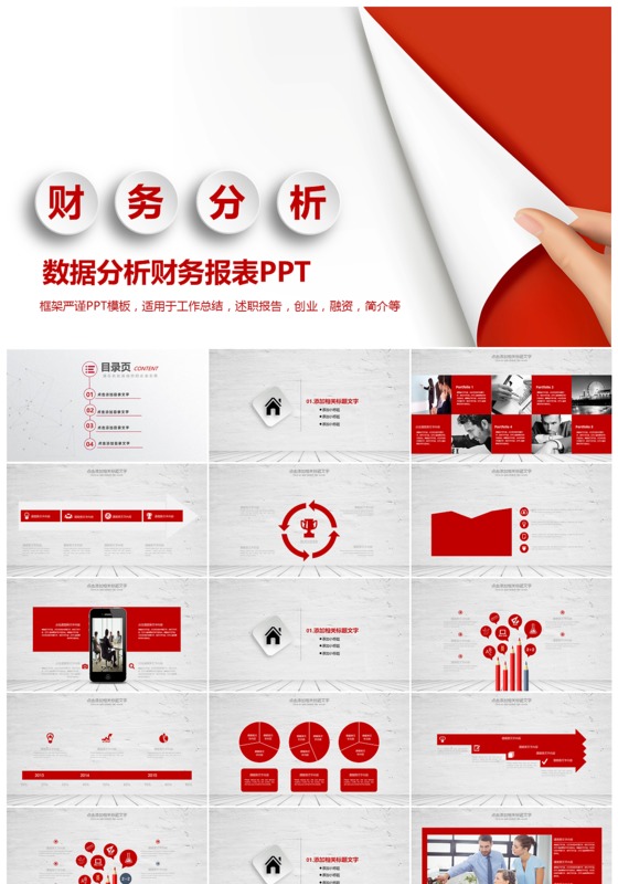 白红色财务分析案例分析PPT下载