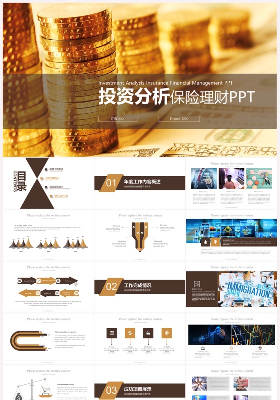 白金色投资分析案例分析PPT模板下载