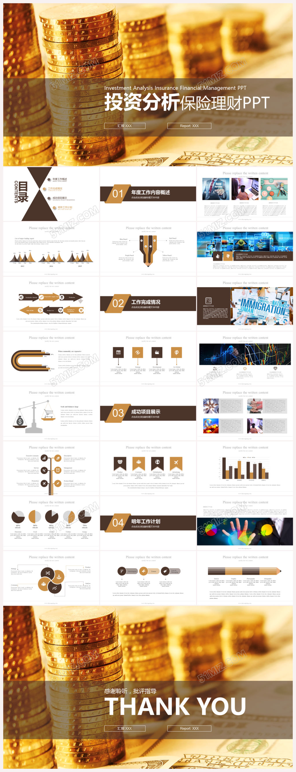 白金色投资分析案例分析PPT模板下载