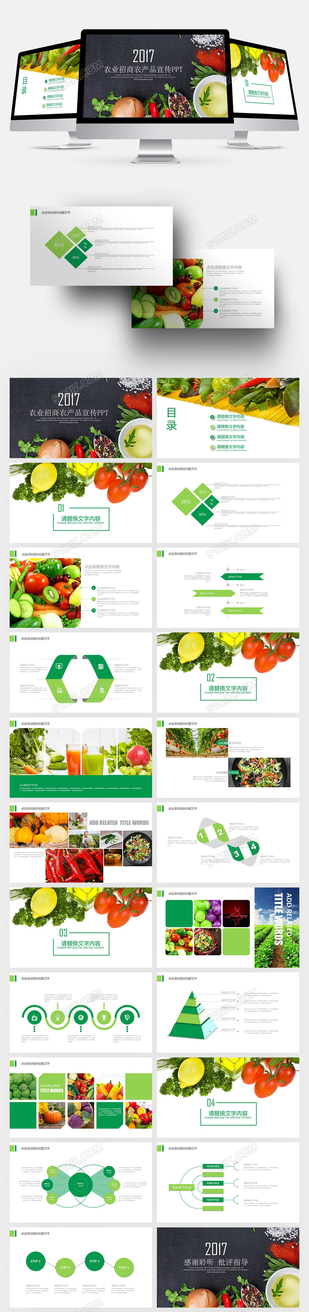 健康农业招商农产品介绍宣传ppt模板