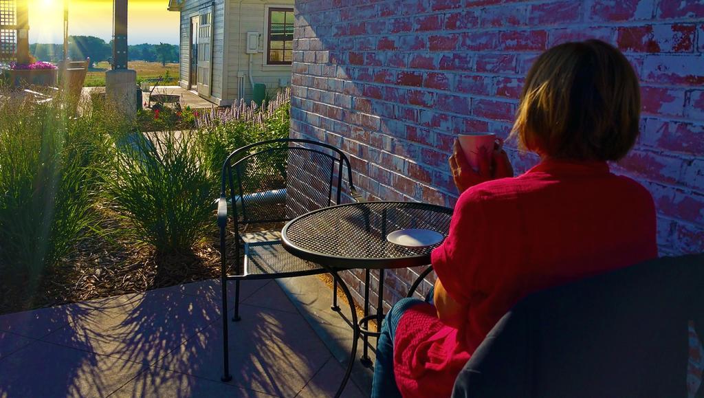 咖啡 早晨喝咖啡 一杯咖啡 饮料 喝 咖啡因 茶 碟 女性