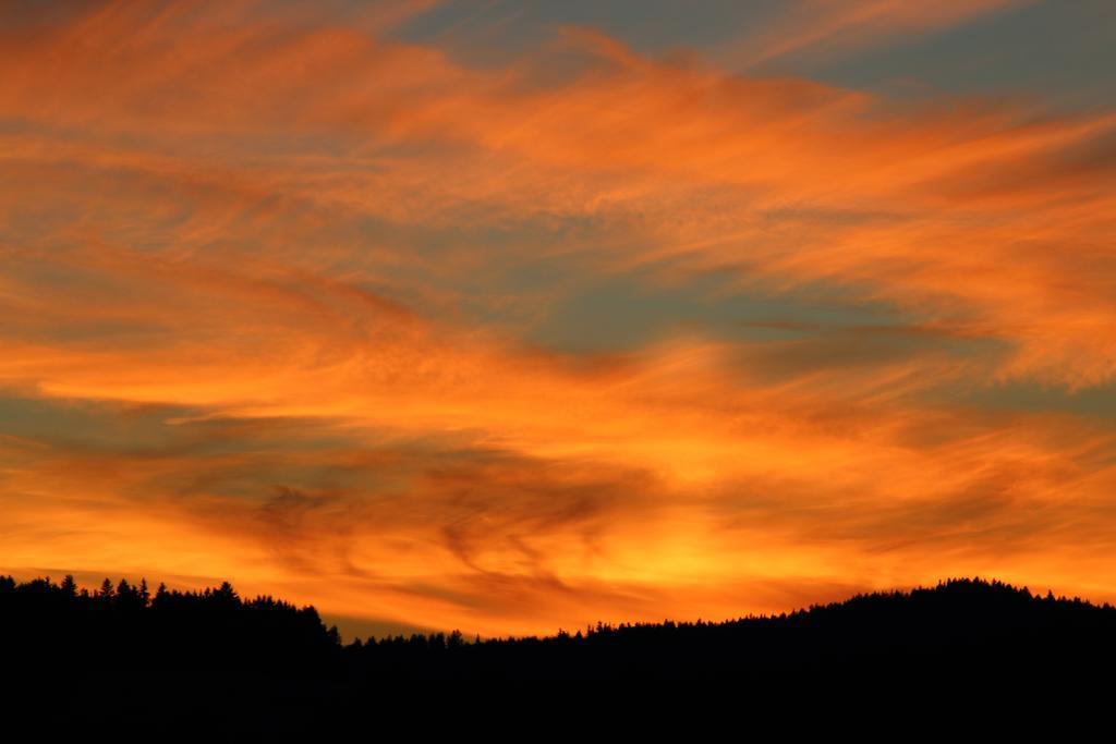 黑红自然瑰丽火烧云下的树林自然黄昏山野背景图片