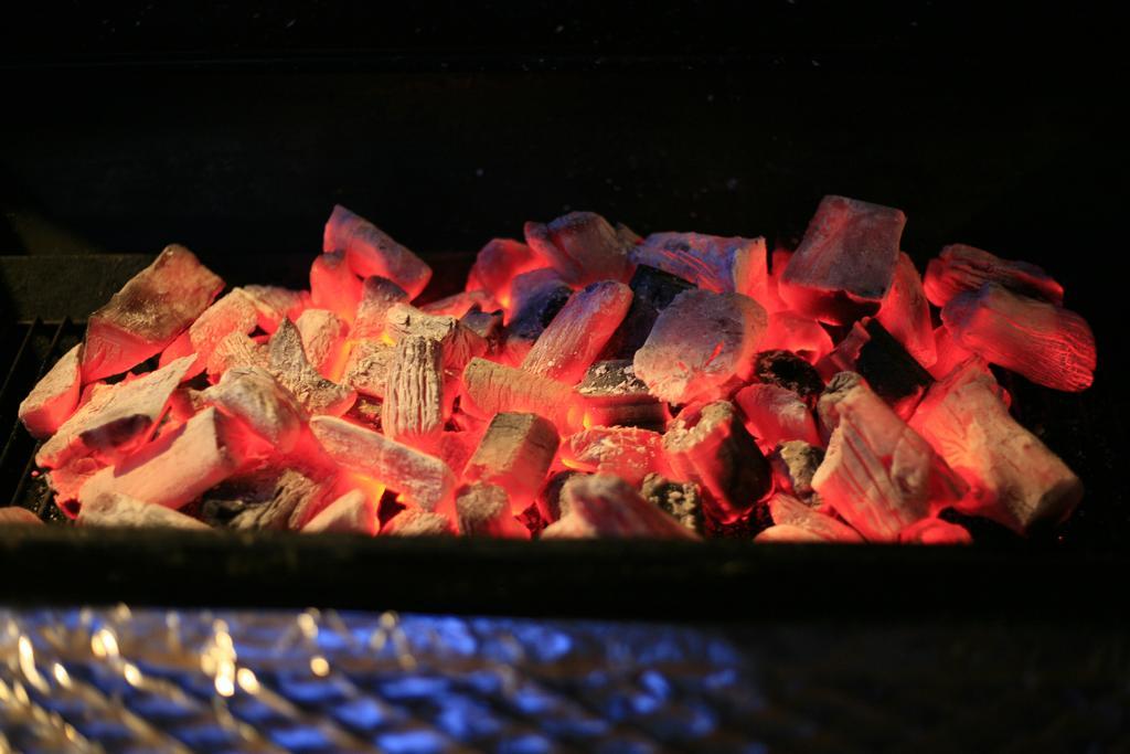 烤 烧烤 木炭 火 煤炭 碳