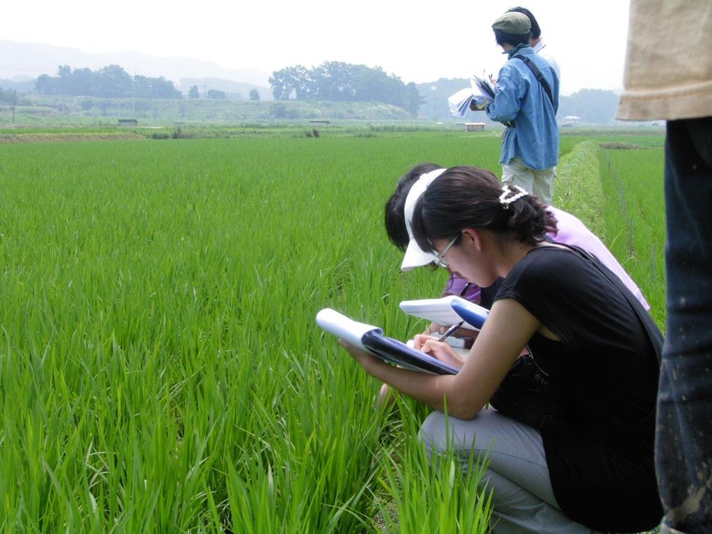 农业田地中的科学家背景图片
