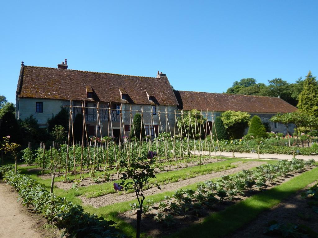 农村田园生活耕作种植背景图片