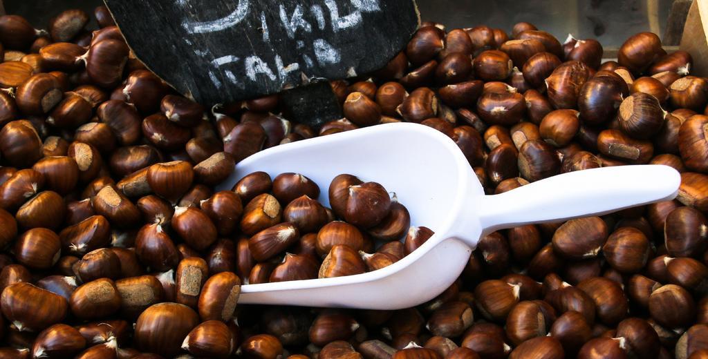 棕色的板栗背景图片