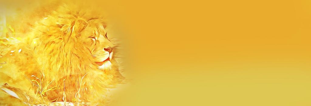 摄影昏暗户外狮子背景图片