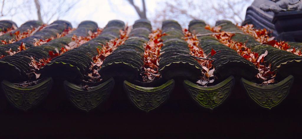 黑色建筑设计唯美中国风设计的黑瓦屋檐枫叶宣传照背景图片