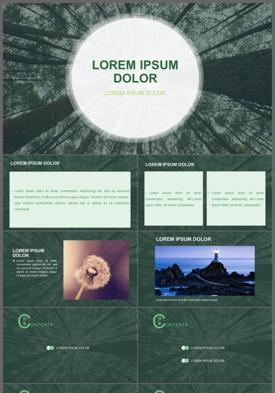 绿色森林背景强视觉对比工作汇报年终总结PPT模板