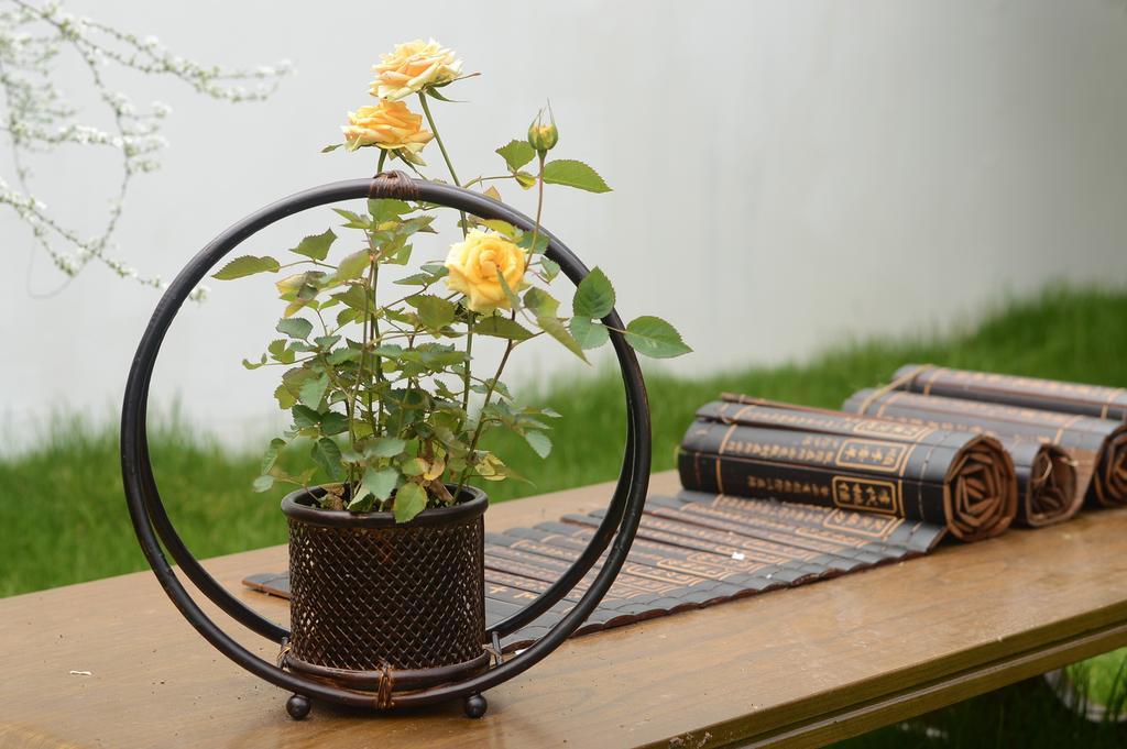 古风悠闲书卷书桌盆栽摆设背景图片