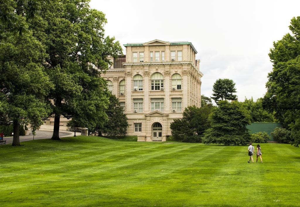 建设 花园 院子里 草 树 结构 房子 住宅 现代 外墙