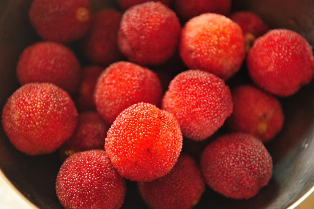 杨梅 红色 水果 red bayberry red fruits