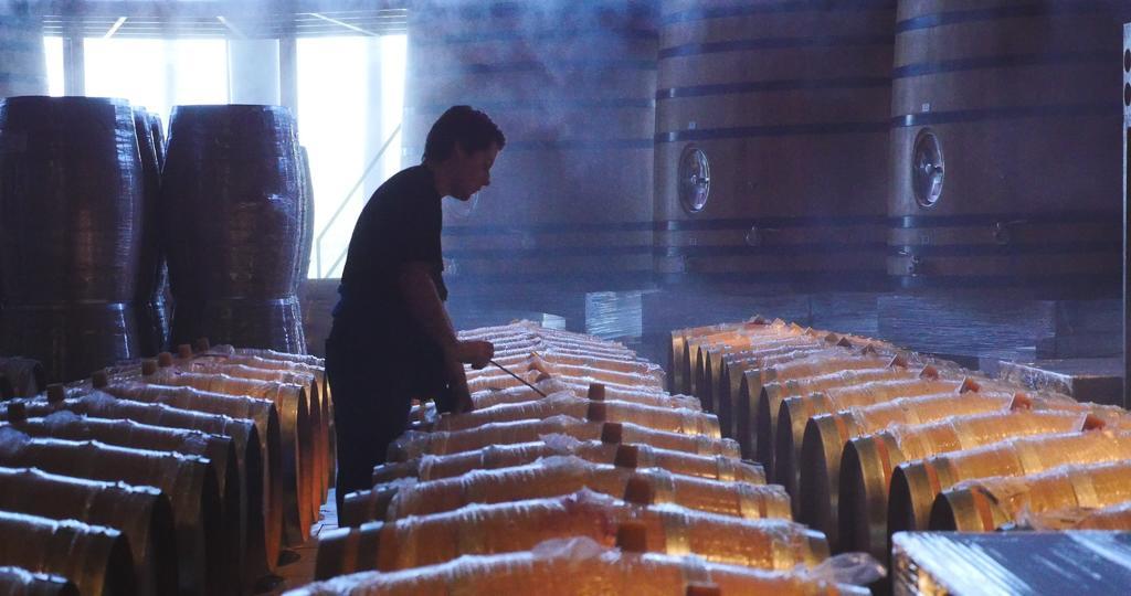 葡萄酒桶人在检查背景图片