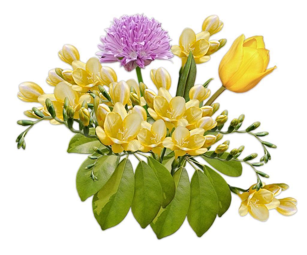 唯美绿色的鲜花花束背景图片