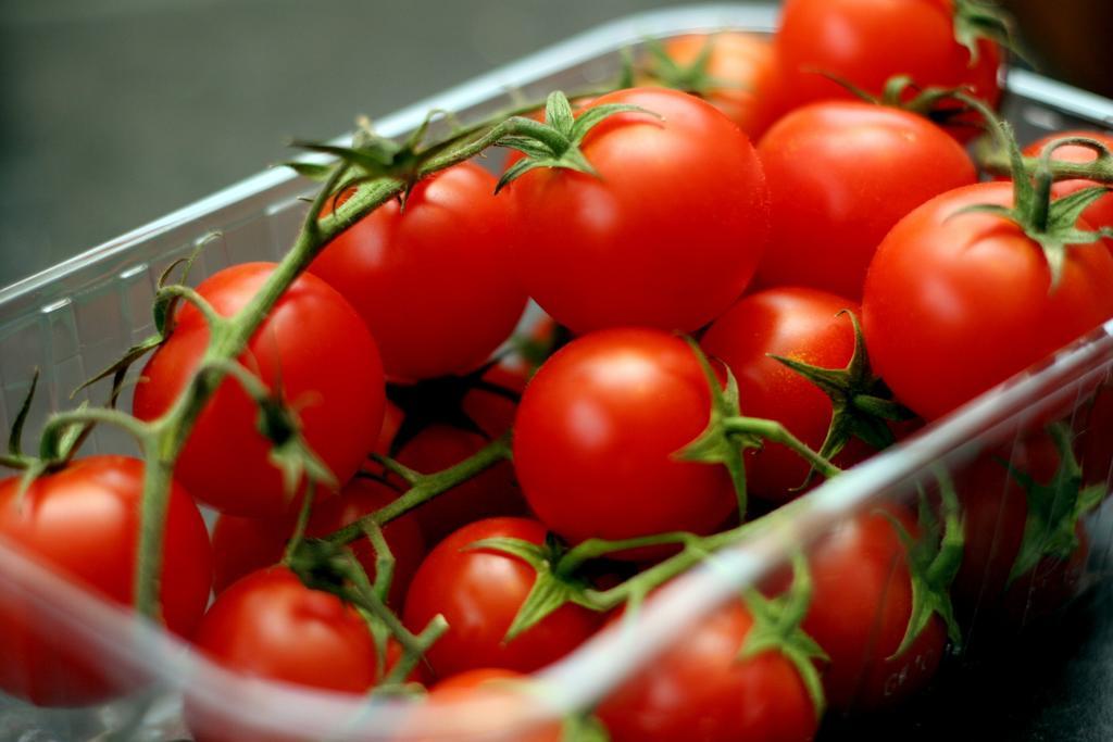 红色番茄水果蔬菜餐饮饮食健康背景图片