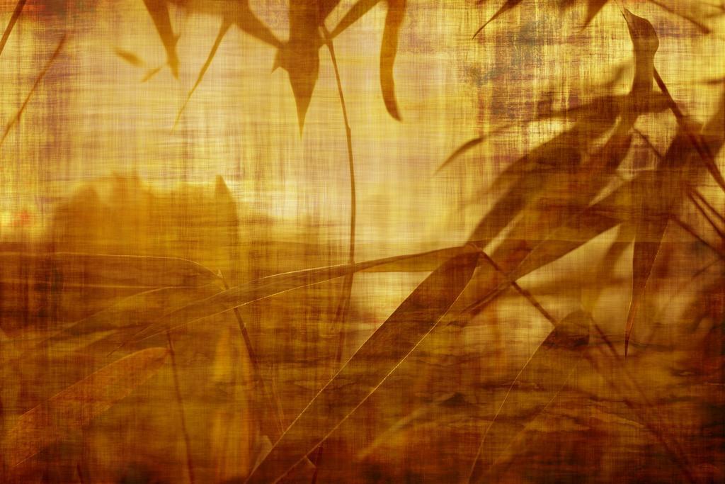 黄色农业唯美竹林叶子落地房屋背景图片