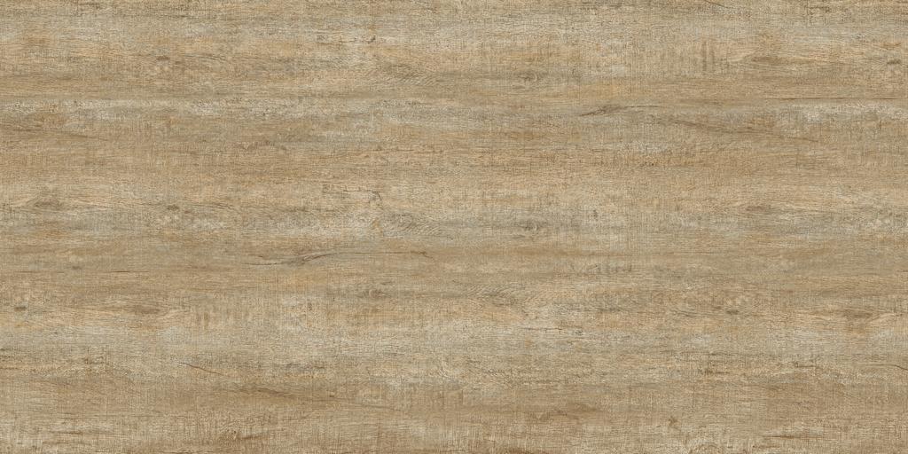 树木 木 黄木 橡木 香木 柚木 木头 木纹