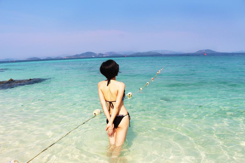 海景女人背部美女比基尼性感海水背景图片