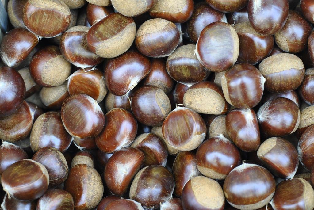 rihei板栗 板栗 秋季