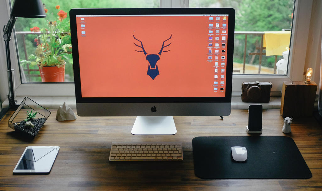 绿色职场商务清新窗前的办公场所摄影照背景图片