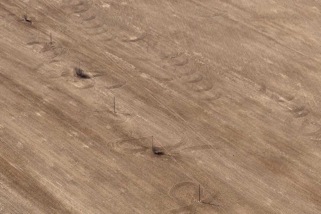 黄色建筑自然简单的天然木头木质纹理背景图片