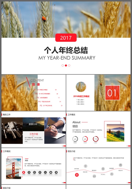 2017工作总结计划个人年终总结工作汇报报告PPT模板
