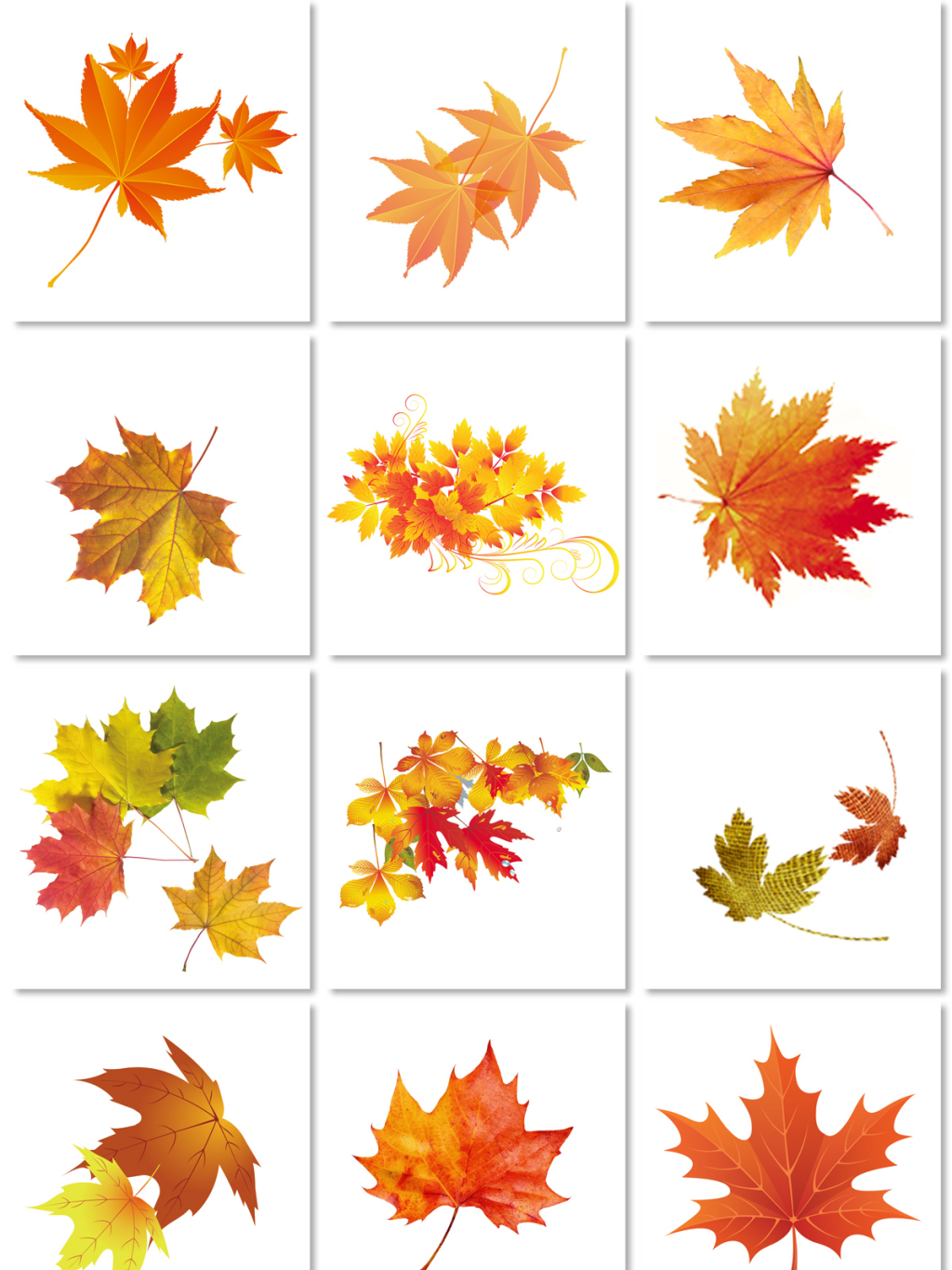 12类秋季枫叶素材