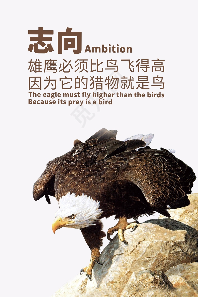 企业文化展板白色背景志向励志挂画