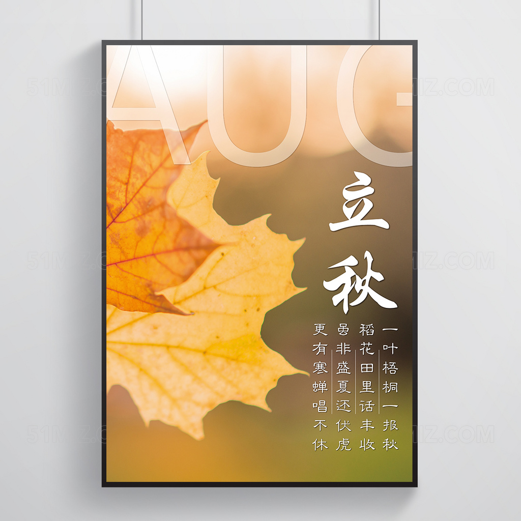 枫叶背景立秋海报