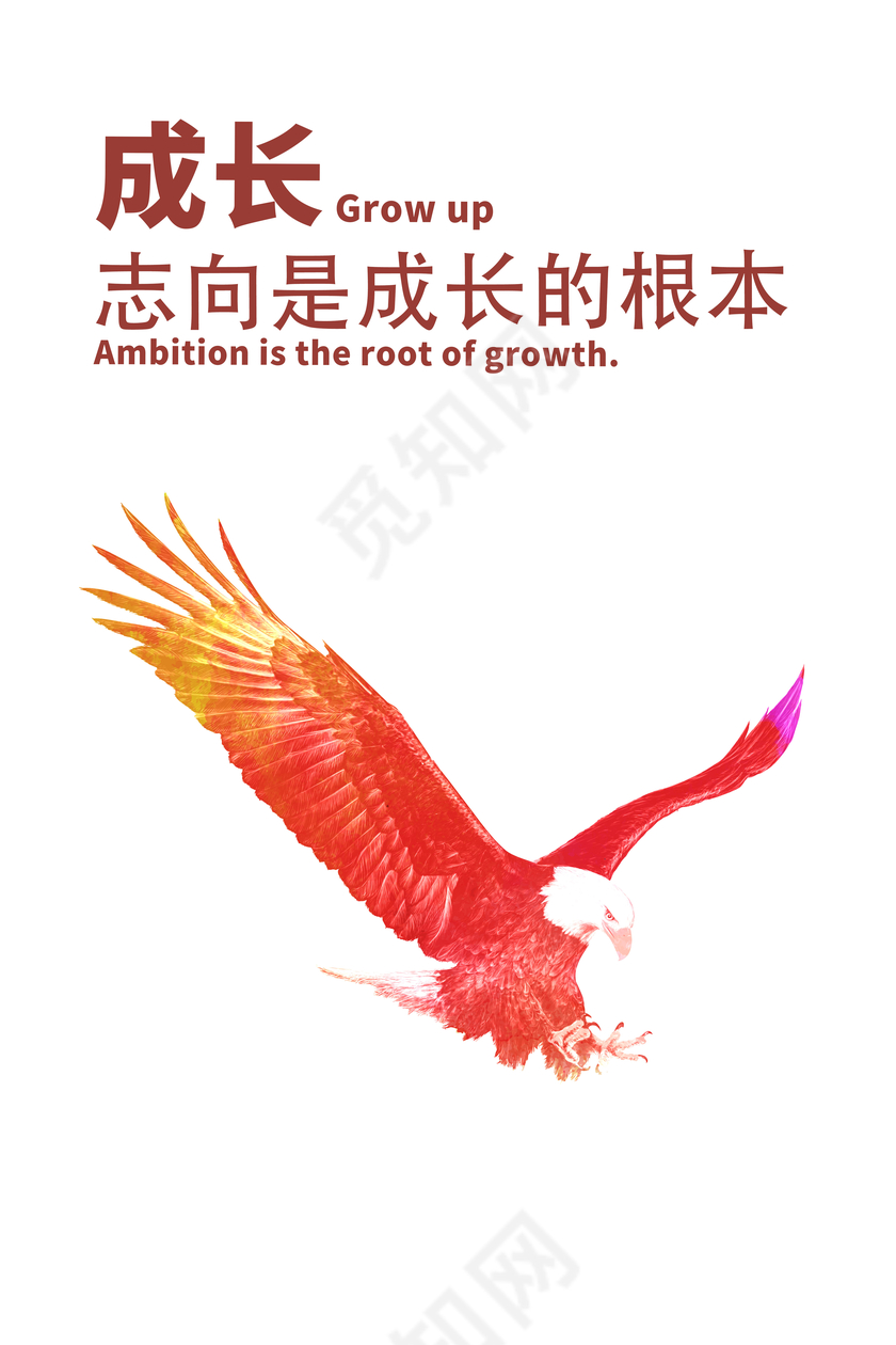 精美装饰企业文化展板