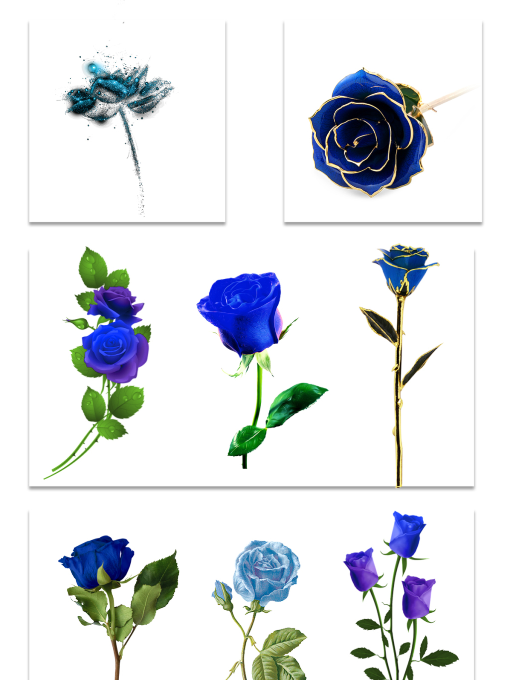 8个蓝色玫瑰花朵素材
