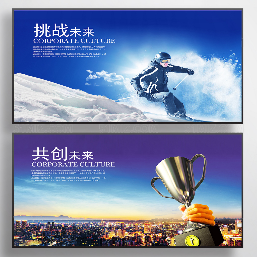 高端精美企业文化展板设计