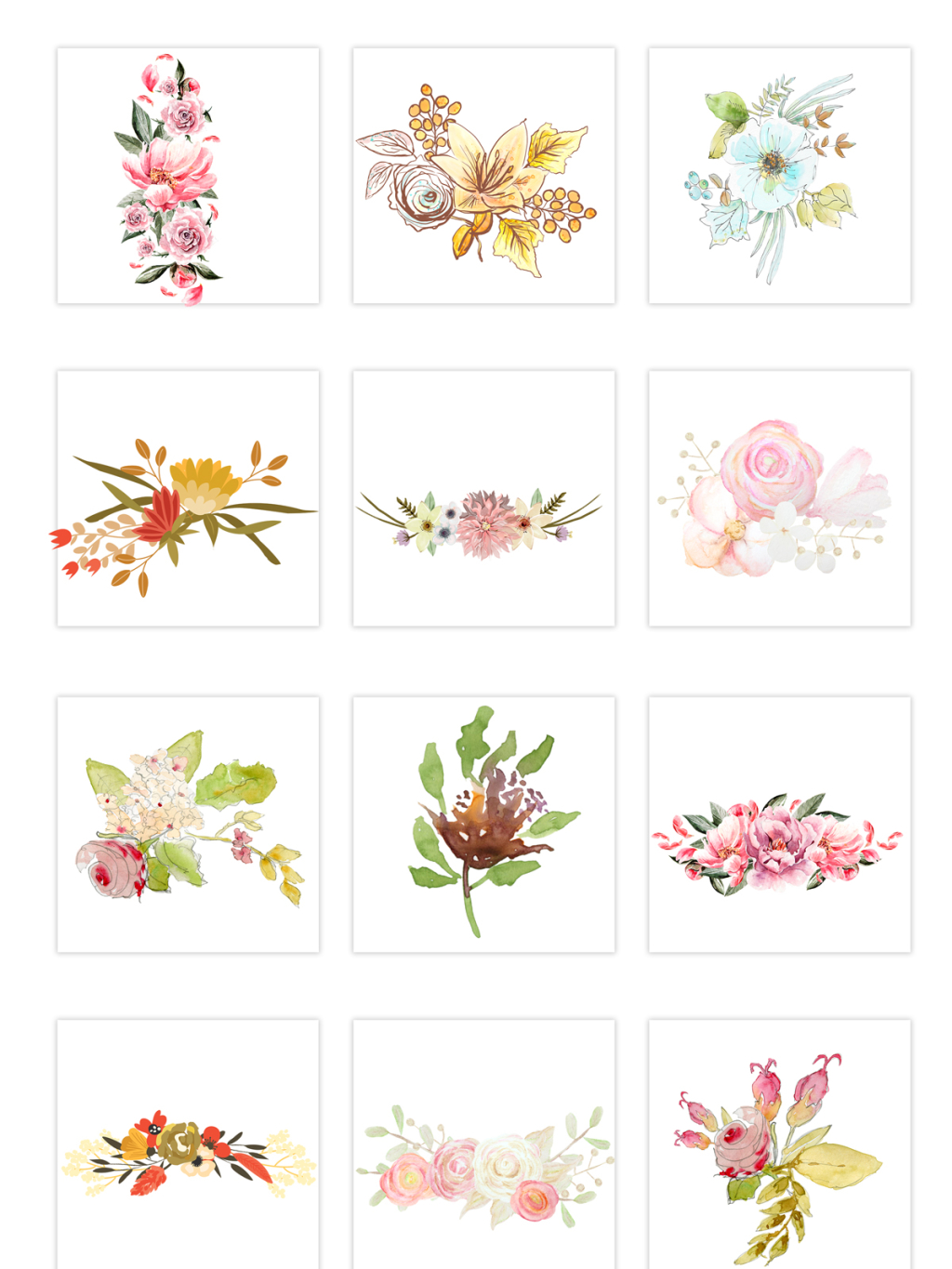 12个手绘花朵插画素材