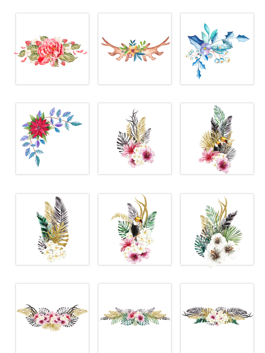 12个羽簇花朵素材