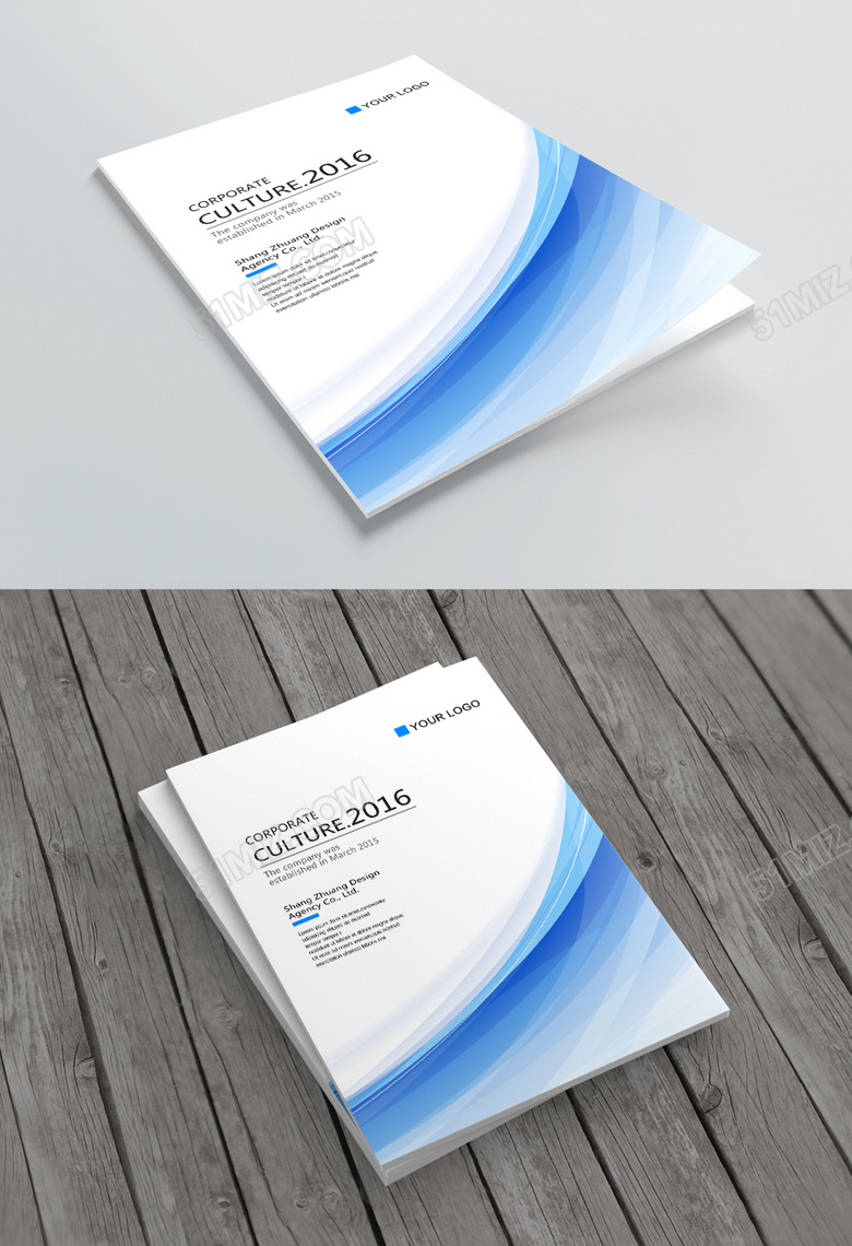 公司介绍蓝色简洁清新画册封面