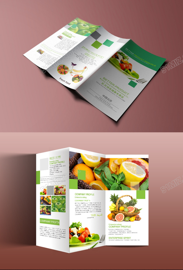 公司介绍精品创意公司三折页模板设计