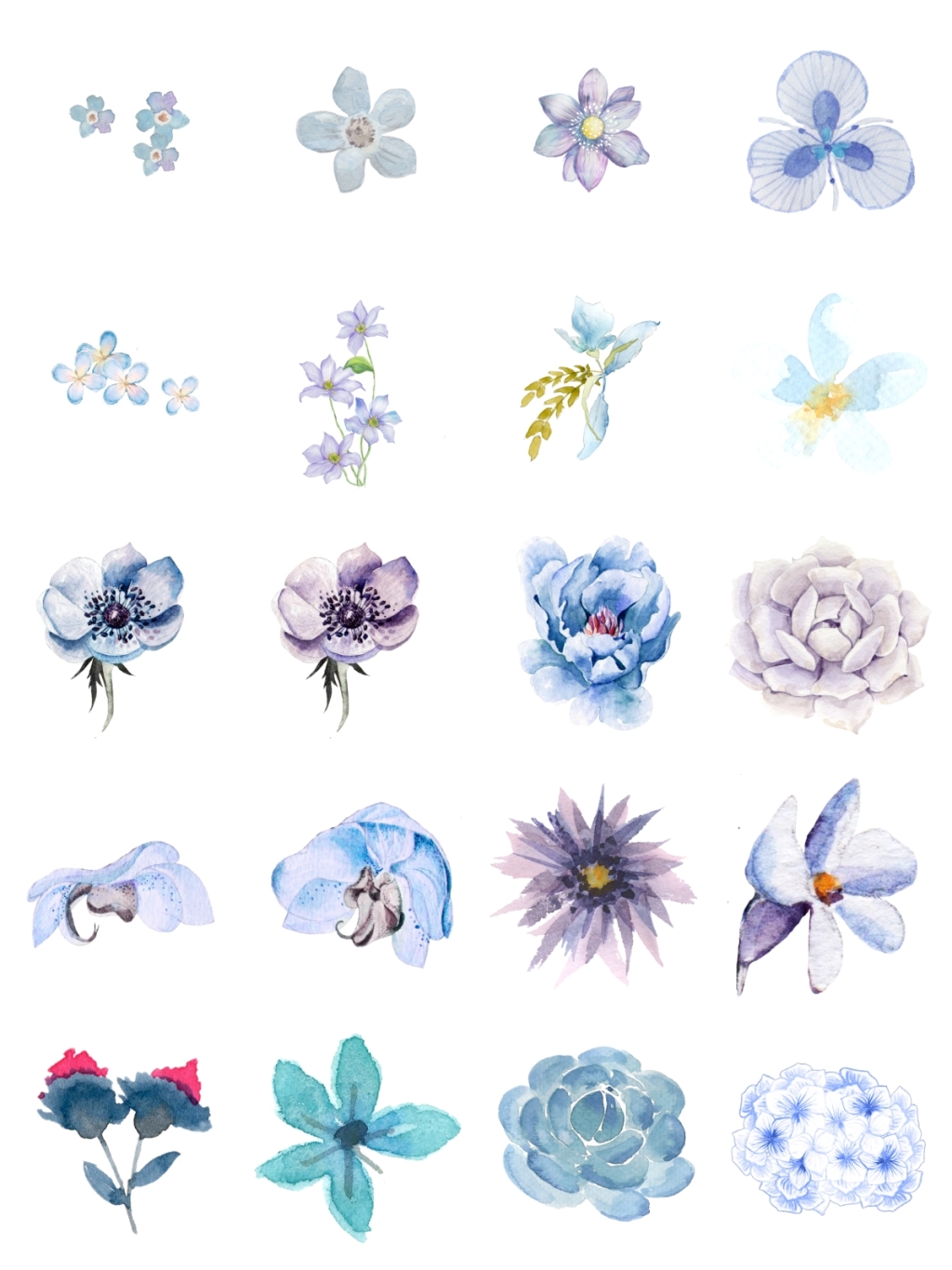 20个淡色调花朵