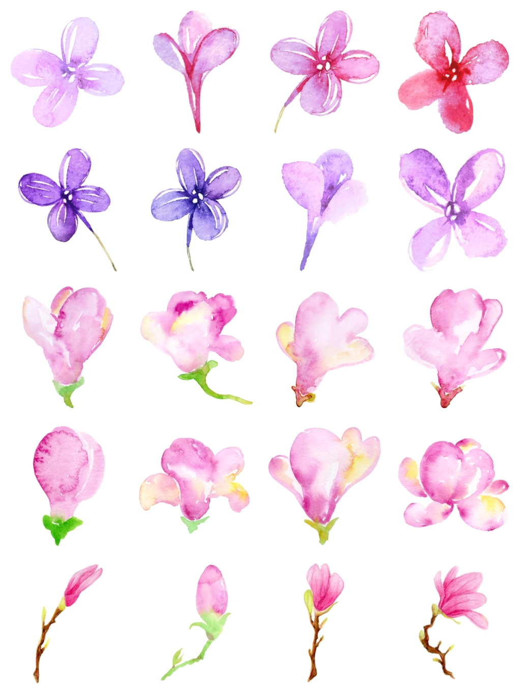 20个手绘花素材合辑