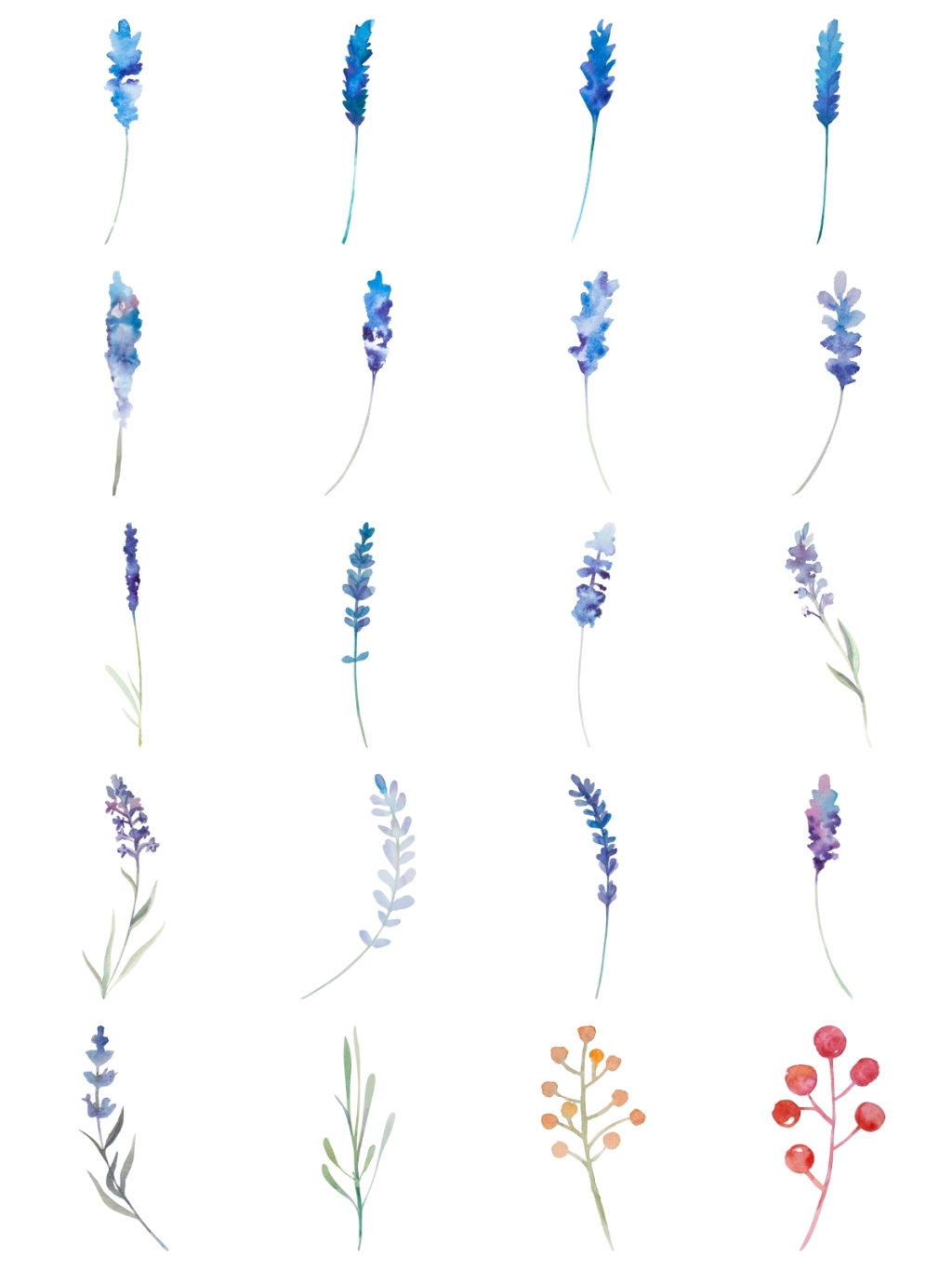 20个薰衣草素材