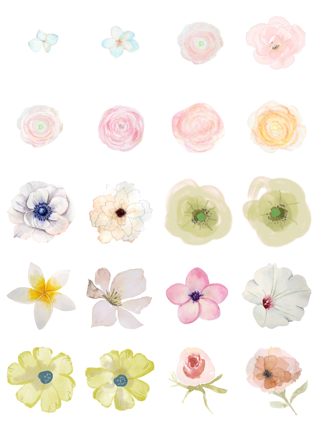20个淡色花朵素材