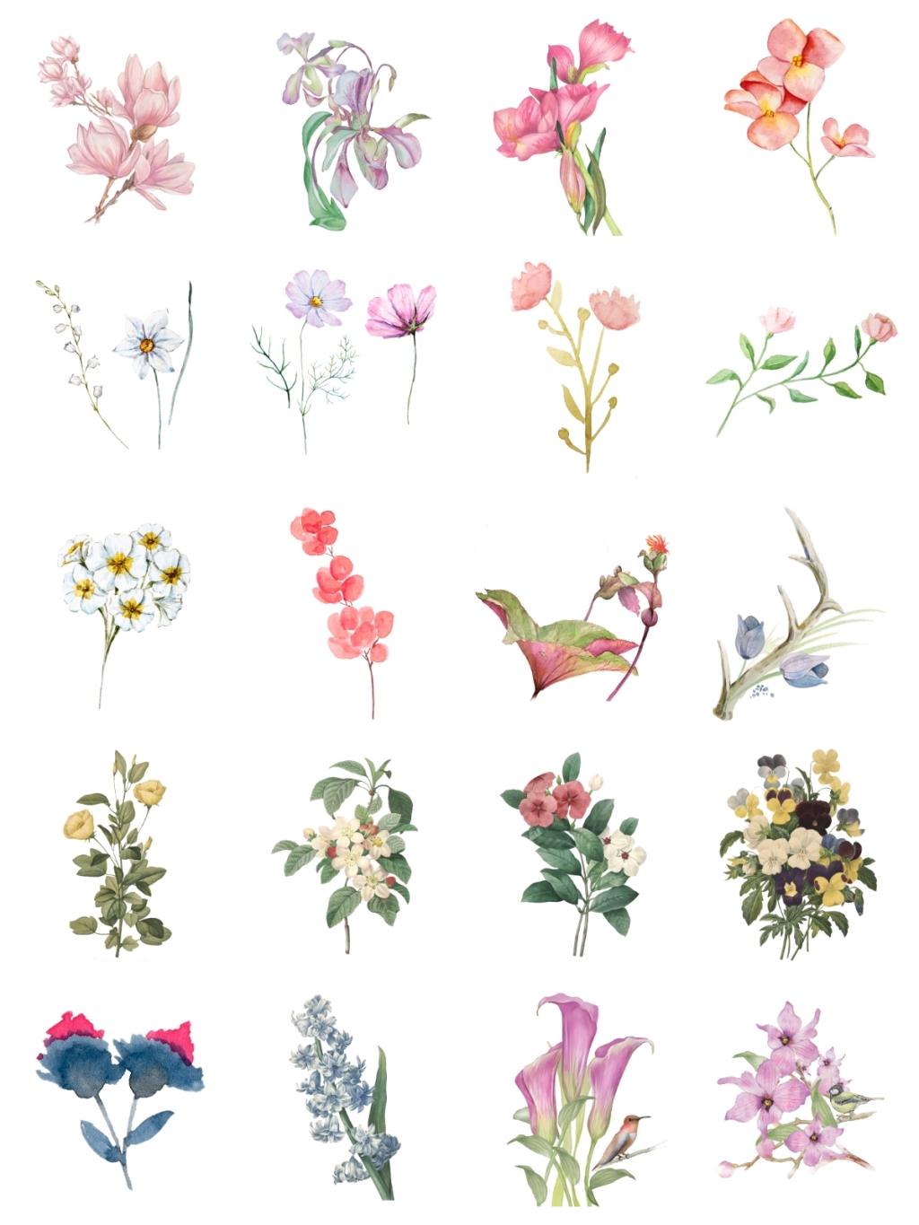 20个手绘花朵素材
