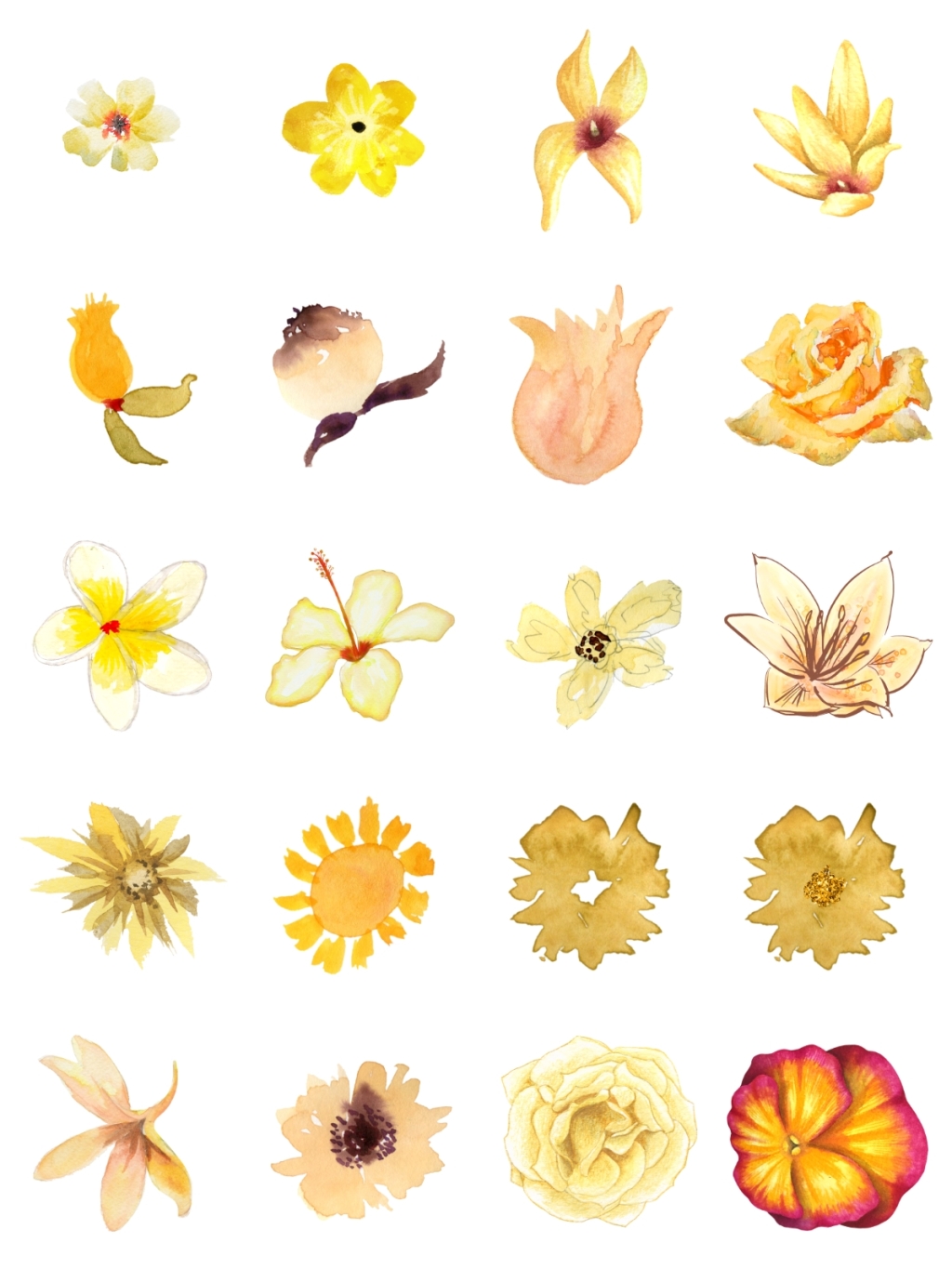 20个黄色花素材