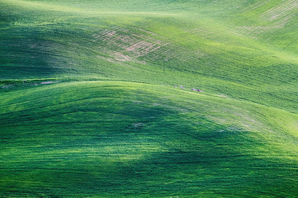 农场 领域 草 草原 绿色 小山 景观 在户外 油漆 绘画 场景